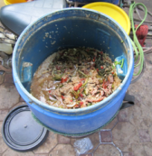 fermenting food waste