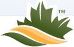 Canadian Renewable Fuels Association